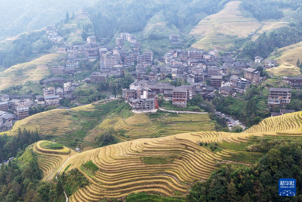 开云APPjiedasheng